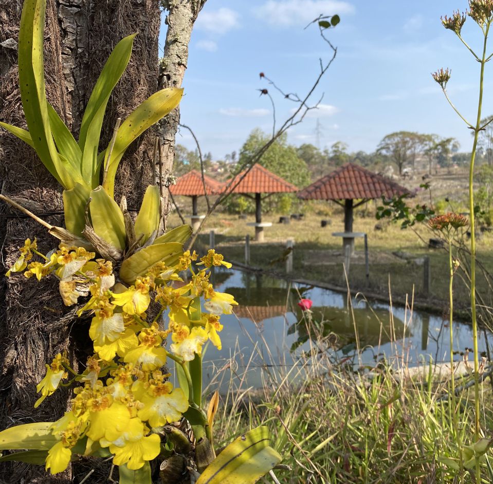 Natureza
